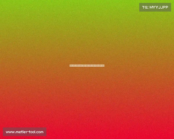 澳网赛事总监引领大满贯赛事卓越成就的幕后核心力量